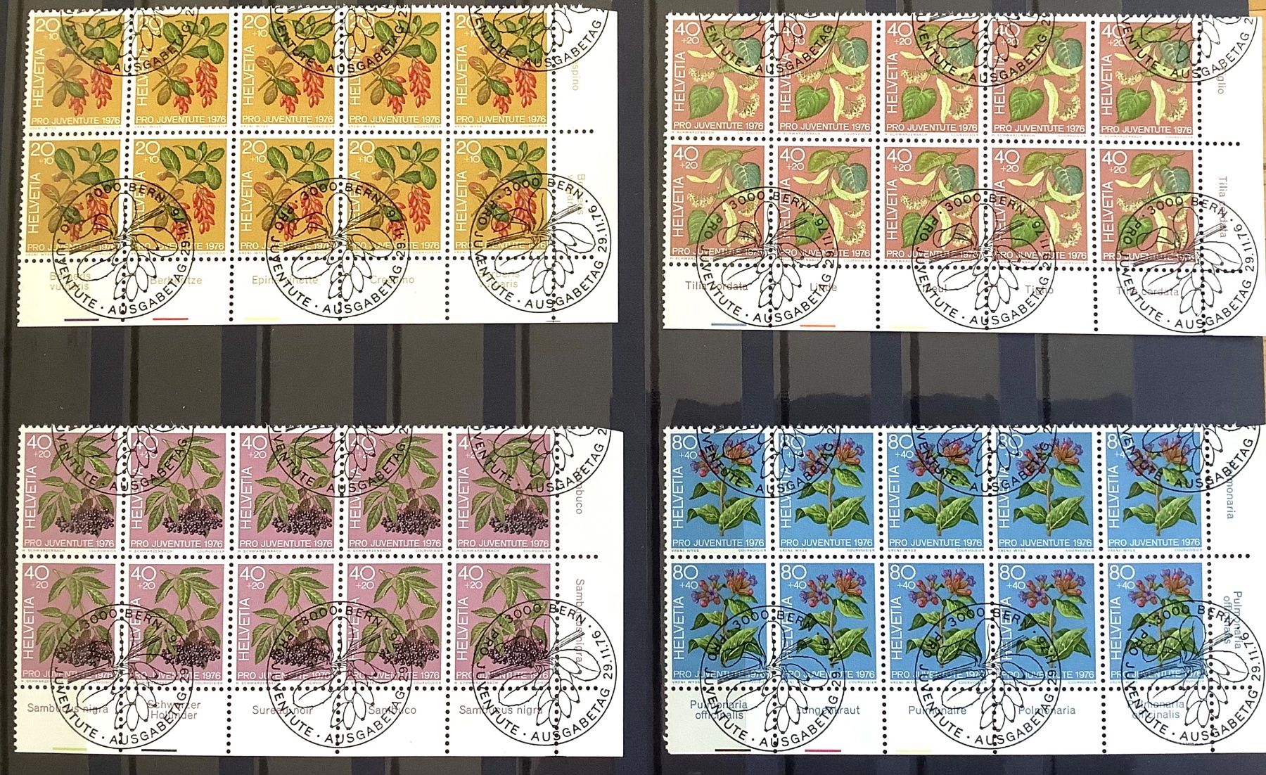 Tutti i francobolli: 1976 Pro Juventute 10er Block ET mit TABS und Eckrand – Nuovo (secondo la descrizione) da Liestal venduto da Skunk02