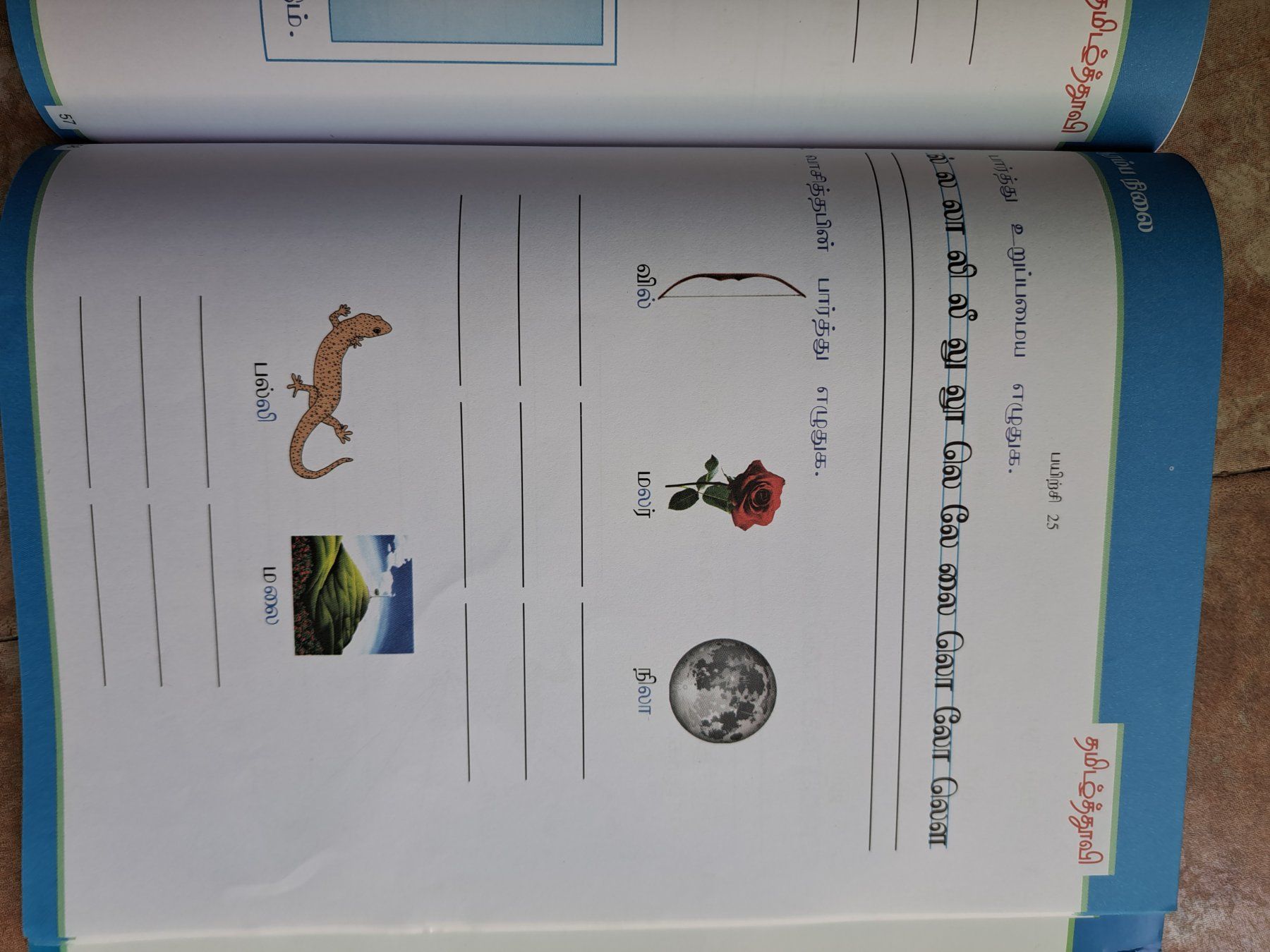 Libri: Tamil learn buch/ book/ – Nuovo (secondo la descrizione) da Bern venduto da mahilini 3