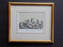 Maienfeld selten