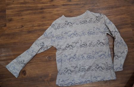 Kinder Langarmshirt Grösse 104 Dinoprint Grau