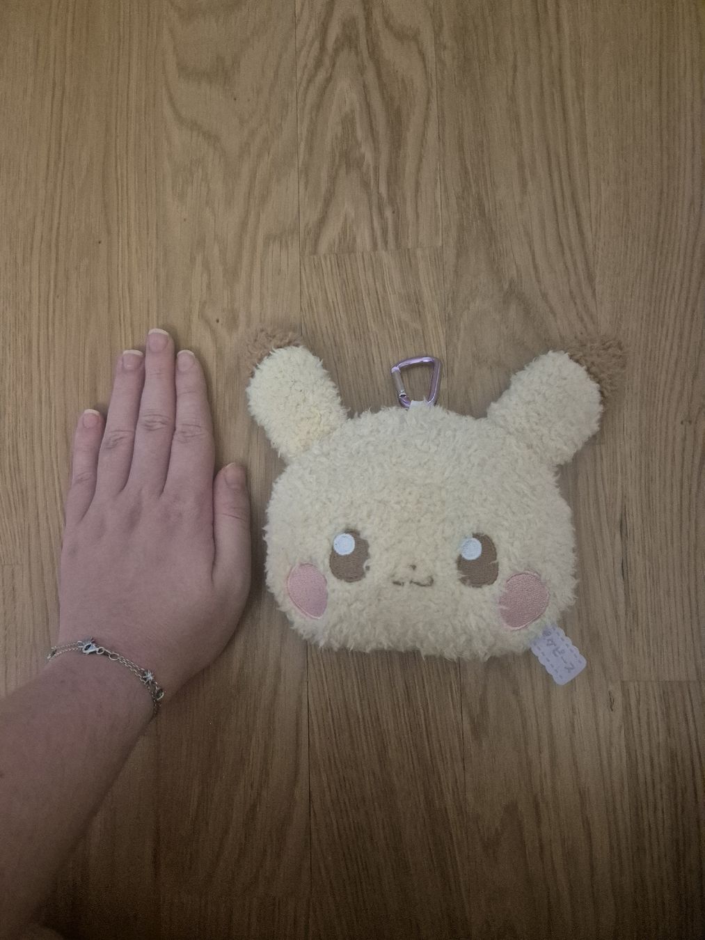 Pokémon Jouets: Pikachu-Plüschbeutel – D'occasion à Bern par nin_9zt2 1