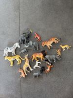 Animali savana