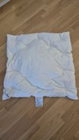 Albis Leader Junior Daunenkissen, 80x80cm, Top Zustand