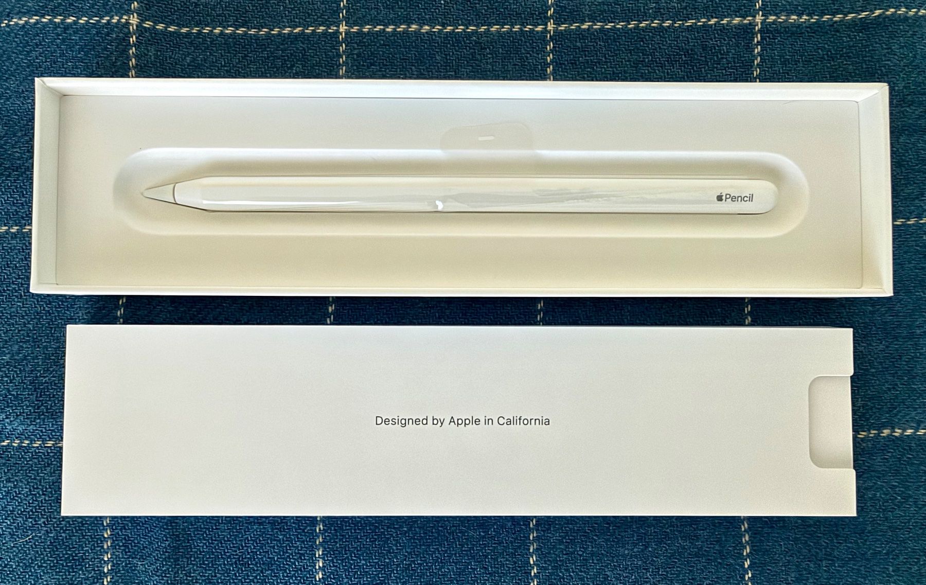Apple Penna & Evidenziatori: Apple Pencil 2nd Generation - Like New – Usato da Thalwil venduto da PinkPanther12