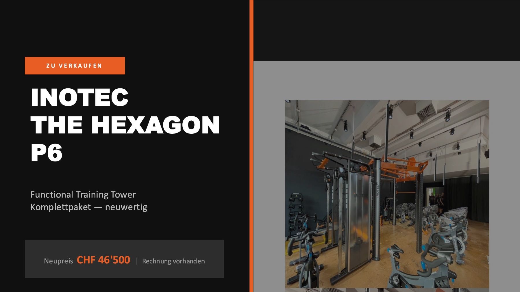 Hometrainer: Professioneller Fitnessturm – Nuovo (secondo la descrizione) da Tagelswangen venduto da decci