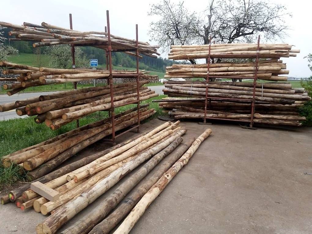 Holzartikel: Kastanienholz – Gebraucht aus Mettendorf TG von 892421 1