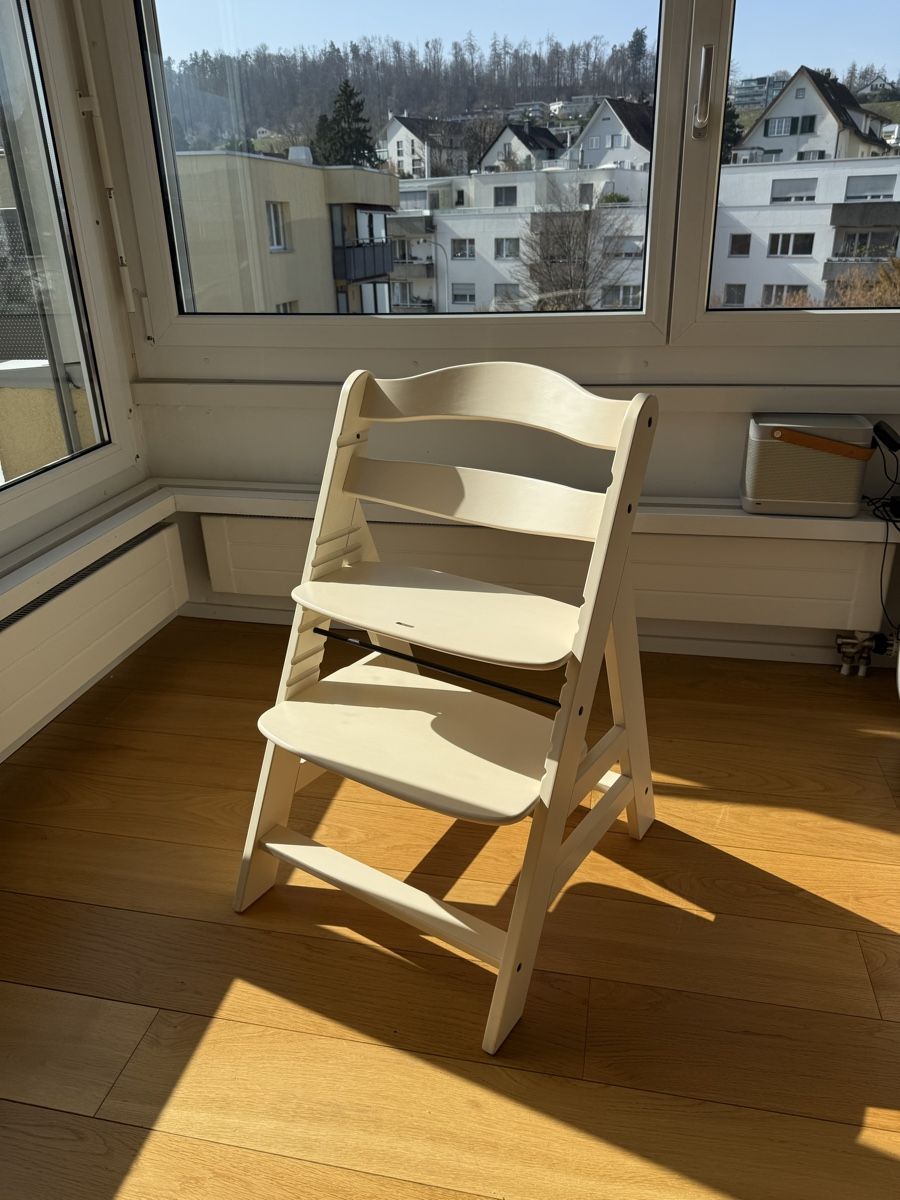 Hauck Seggioloni: Hauck Alpha+ and Tray – Usato da Thalwil venduto da art_kor 1