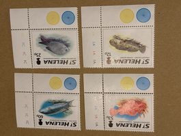 St. Helena  Briefmarken Fische 🐟 Top Zustand