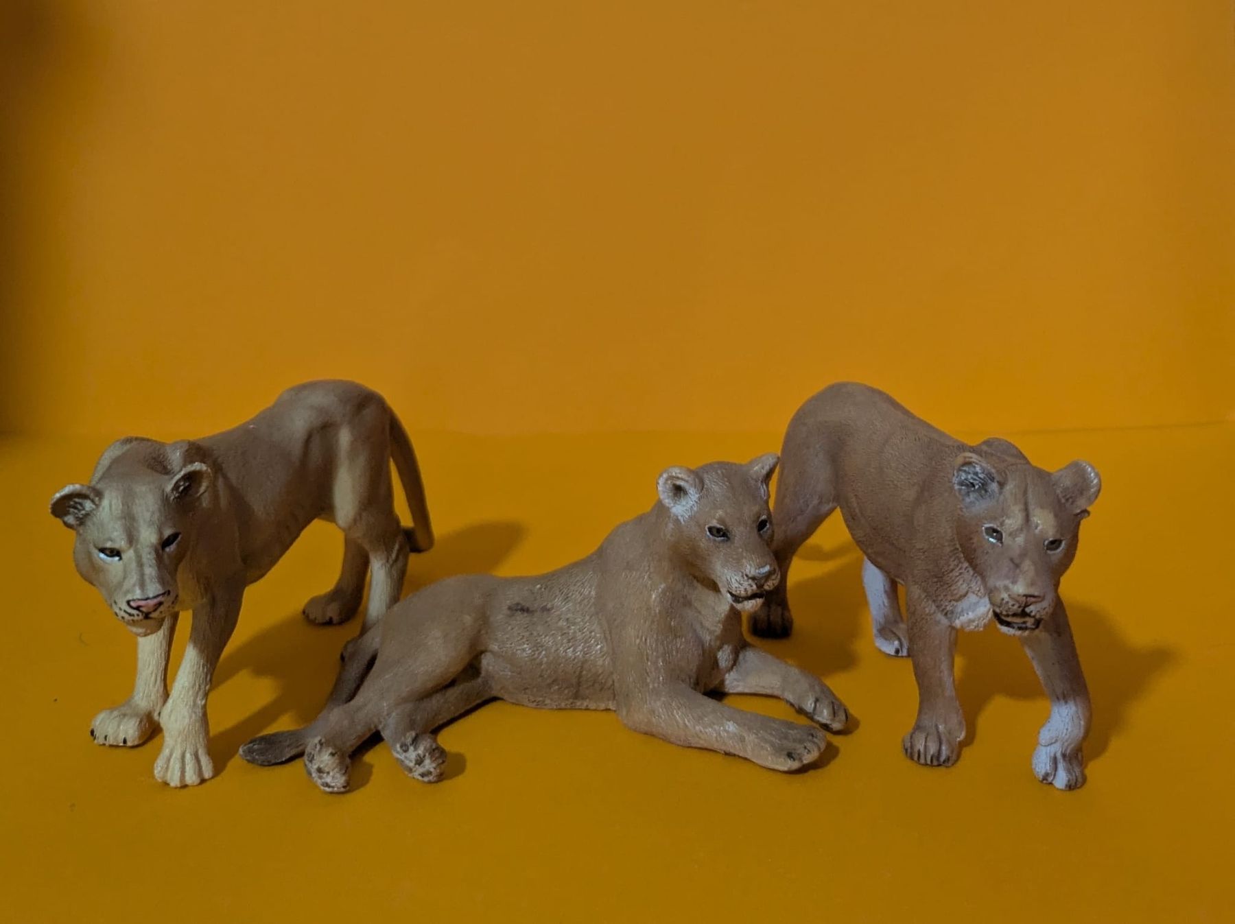 Schleich Spielzeuge: Schleich 4 Löwen – Gebraucht aus Niedergampel von Mariluisa