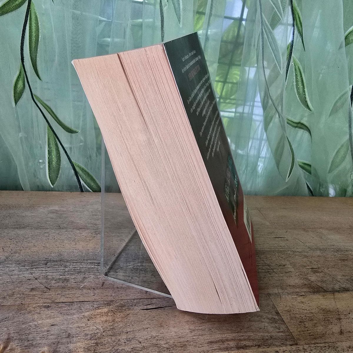 Libri: Glas von Stephen King – Usato da Merlischachen venduto da Sheavy 5