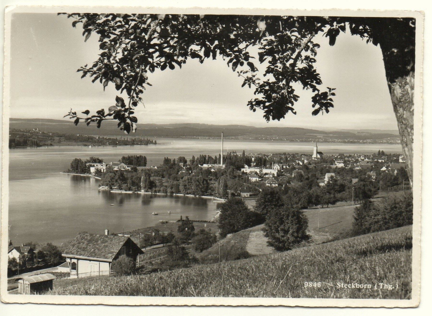 Cartoline postali: STECKBORN – Nuovo (secondo la descrizione) da Jona venduto da philajona