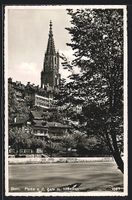 AK Bern, Partei a. d. Aare m. Münster