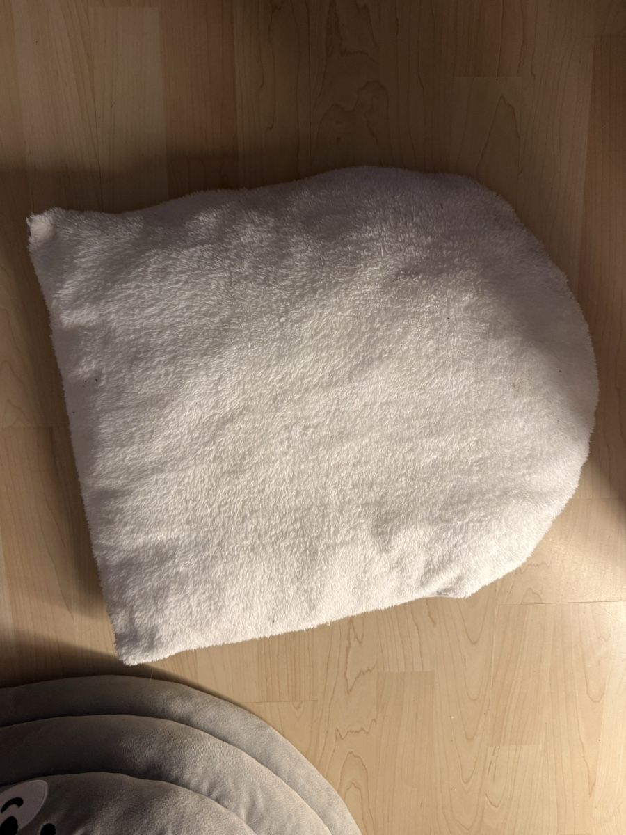 Cucce & Letti: Flauschiges Katzenbett – Usato da Oberdiessbach venduto da nad_c5nz 1