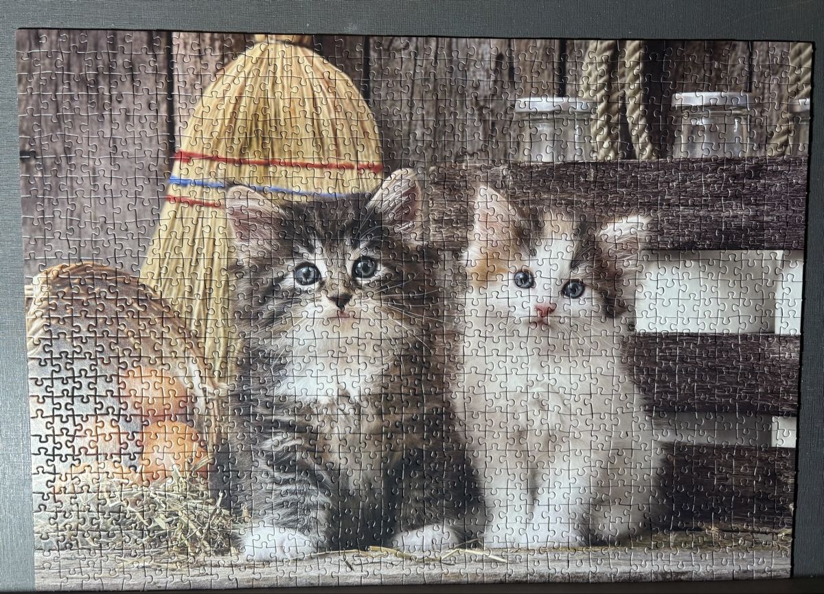 Clementoni Puzzles: Puzzle – Neuf (Voir description) à Thürnen par Lilie37 1