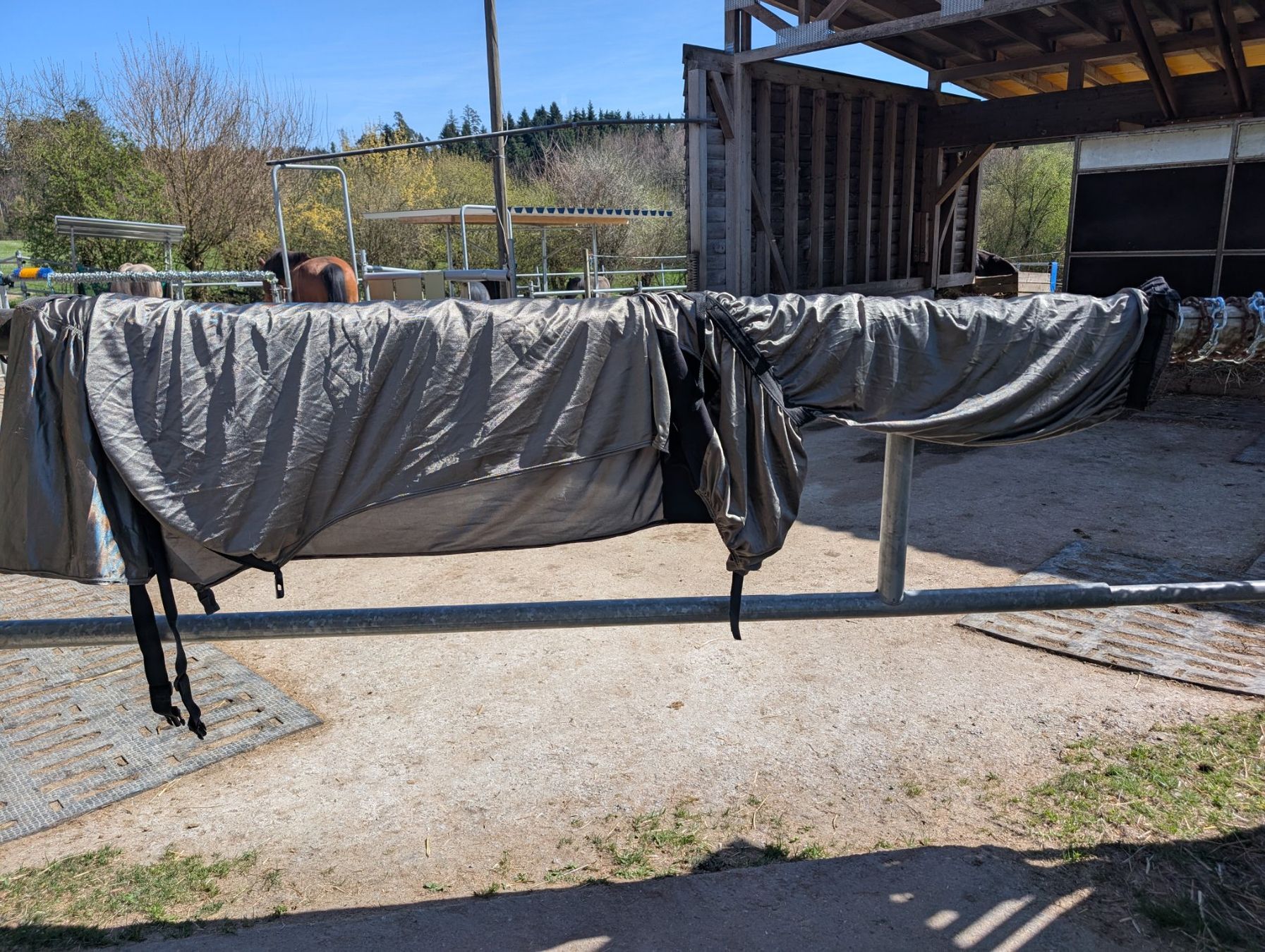 Coperte: Ekzemerdecke – Usato da Zwillikon venduto da martinza 1