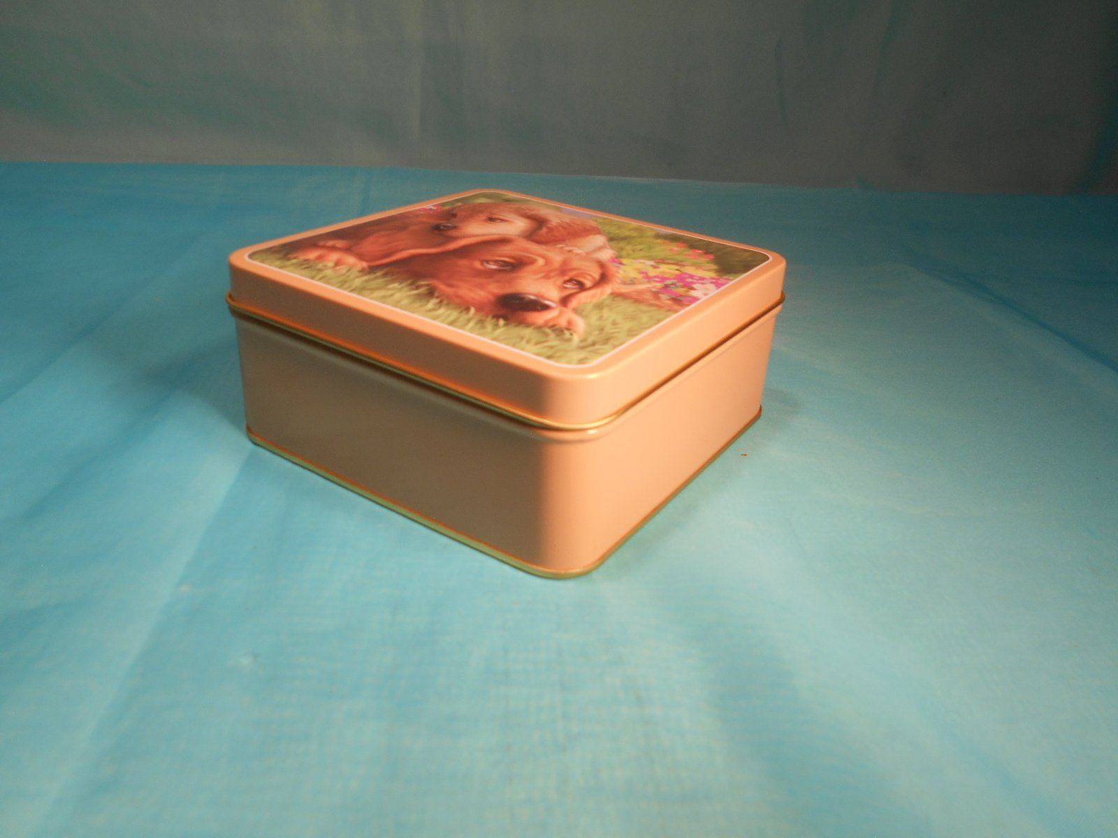 Altro in Decorazioni & Accessori: Blechbüchse, Hunde, 3D Deckel – Usato da Bellach venduto da JingleCherry 1