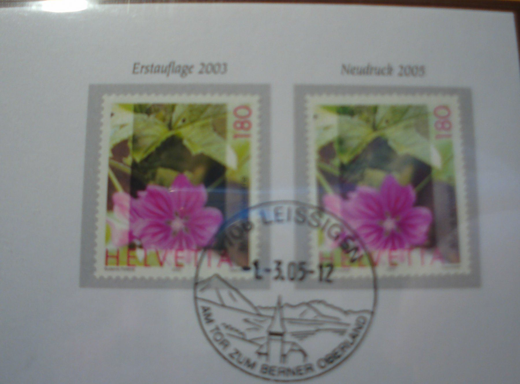 Tutti i francobolli: Abart Combo-FDC Malve 2005, 2. Auflage – Usato da Niederwil AG venduto da morostahu 1