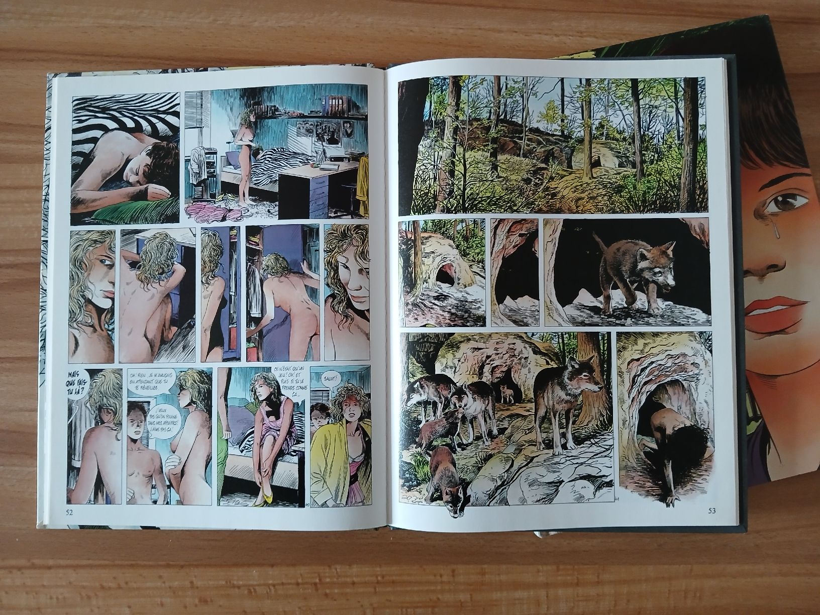 Fumetti: Tomes 1 et 2 de la bande dessinée Lova. – Usato da Le Sentier venduto da arc_2thy 4