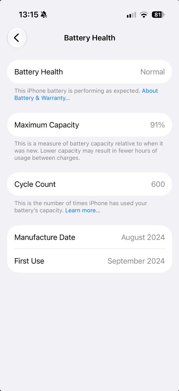 Apple Telefoni cellulari / Smartphones: iPhone 16 Pro 256GB Silver – Usato da Zürich venduto da PavloR 6