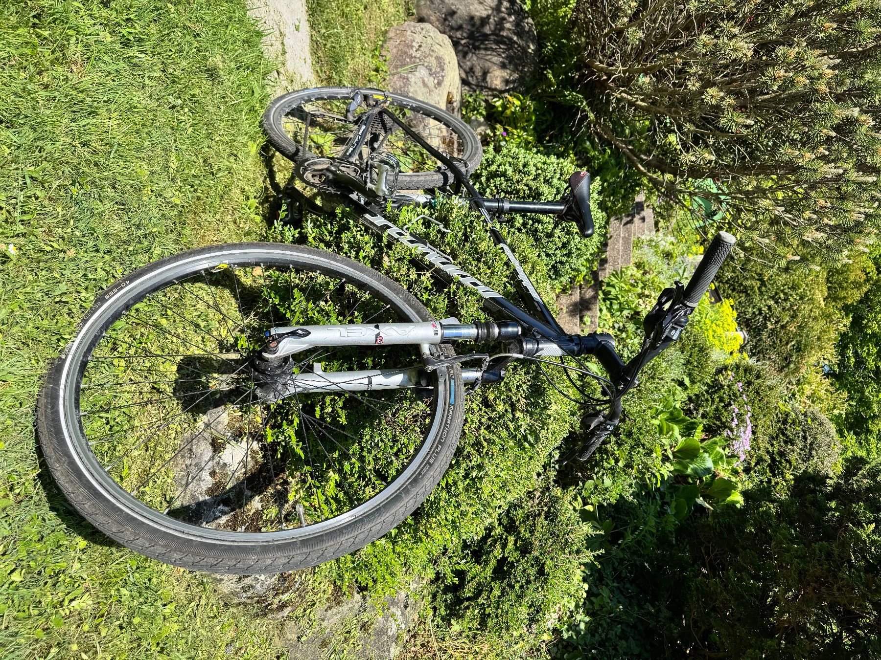 Specialized Velos: Specialized Hardtail Mountainbike – Gebraucht aus Urdorf von Netbet 2