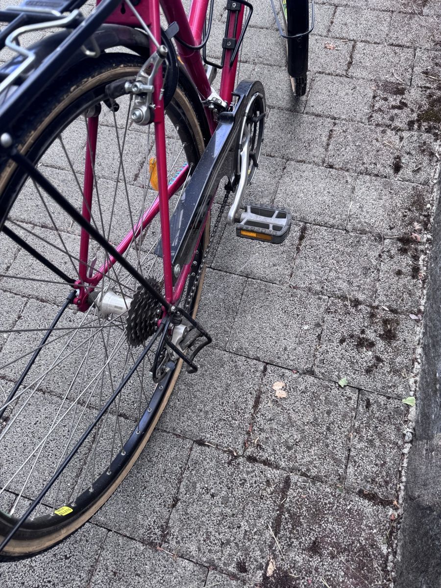 Biciclette: Damenvelo Villiger – Difettoso da Doppleschwand venduto da Denos 3