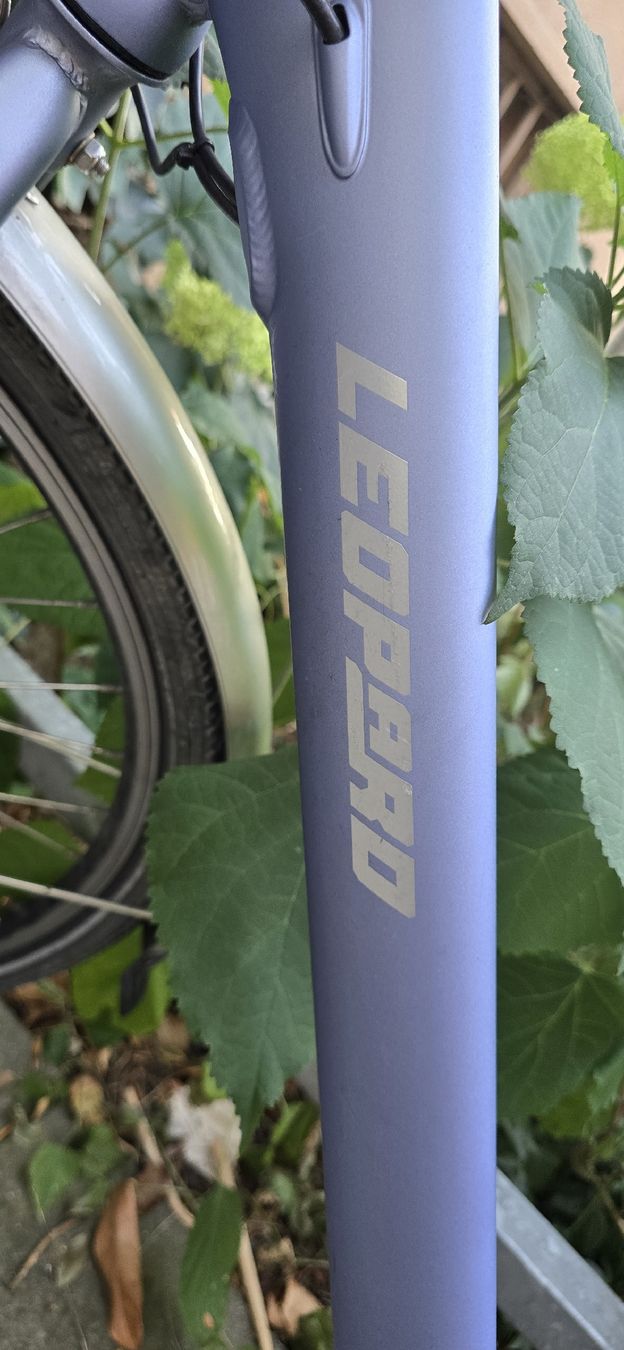 Leopard Biciclette: Leopard E-Bike EasyMan 28", 52 cm – Usato da Bern venduto da Fabiian12 6