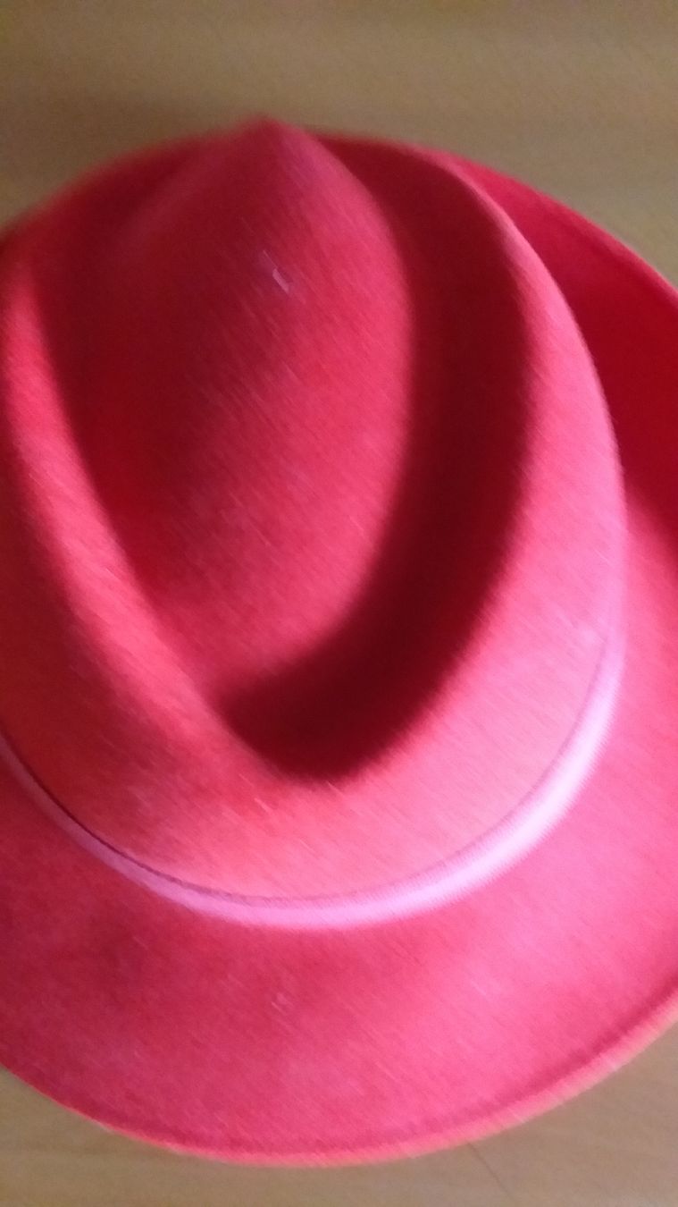 Chapeaux, bonnets & casquettes: Damen Hut – D'occasion à Wünnewil par 04Blume 4