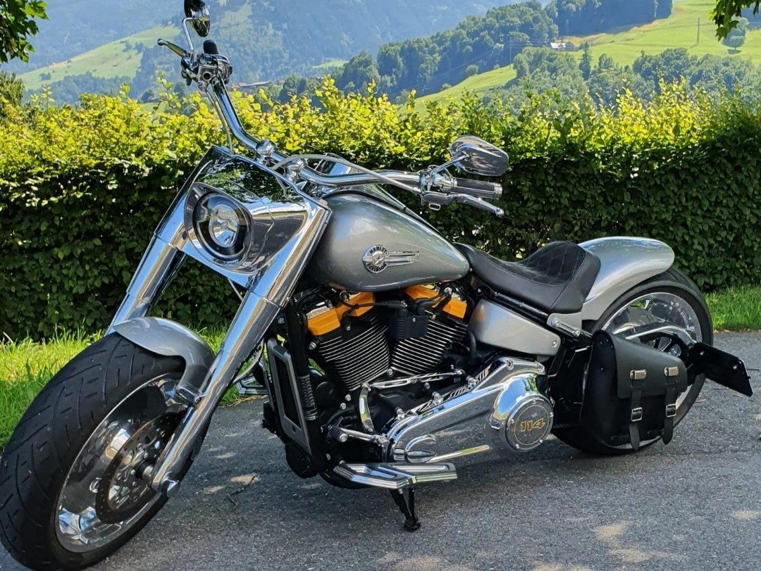 Harley-Davidson Chopper: Harley Davidson Fat Boy FLFBS, Silver Ghost Custom Design – Nuovo (secondo la descrizione) da Basel venduto da franky007 1