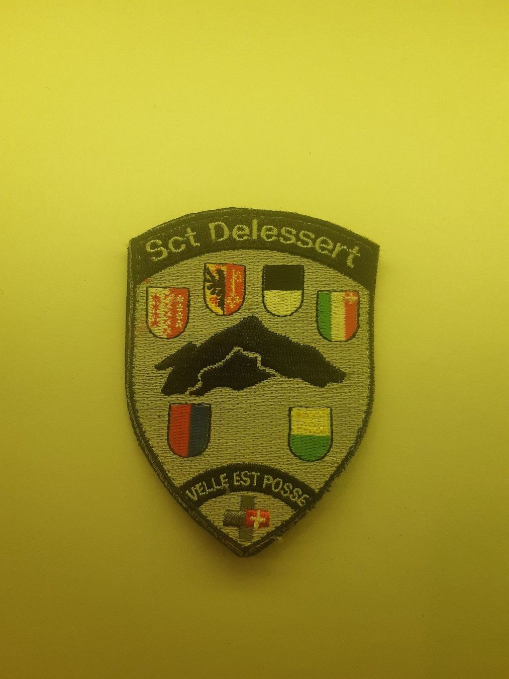 Schweizer Armee Placchette & Badge: BADGE ECUSSON MILITAIRE SUISSE SCT DELESSERT – Nuovo (secondo la descrizione) da Domdidier venduto da baumeyer-seb