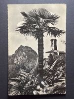 Chiesa di Castagnola - Lago di Lugano