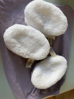Waschies - nachhaltige Abschmink-Alternative 6 Stck. NEU