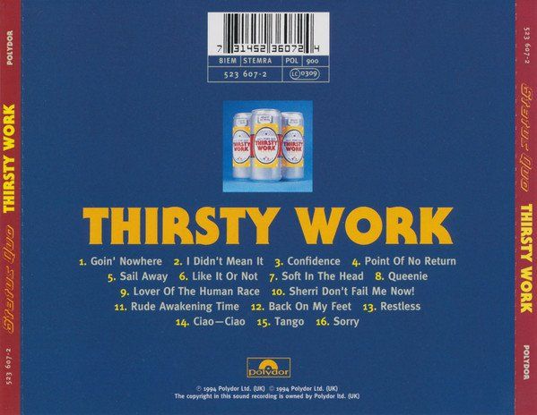 CD: CD Status Quo - Thirsty work (1994) – Usato da Möriken AG venduto da mineralia 1