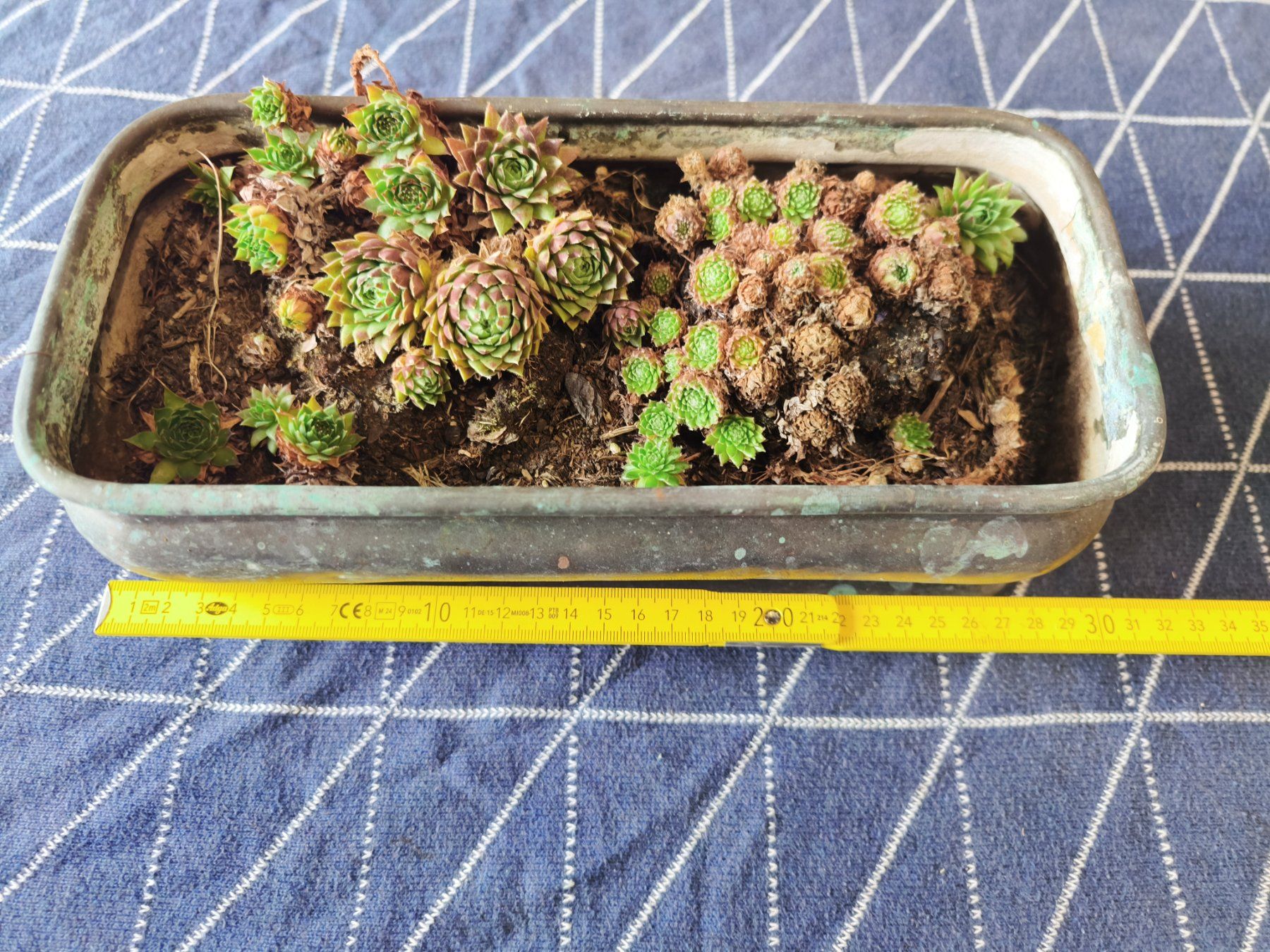 Casseroles: Kupfergefäss ca 30cm lang – D'occasion à MUEHLAU par ibo_5c7d
