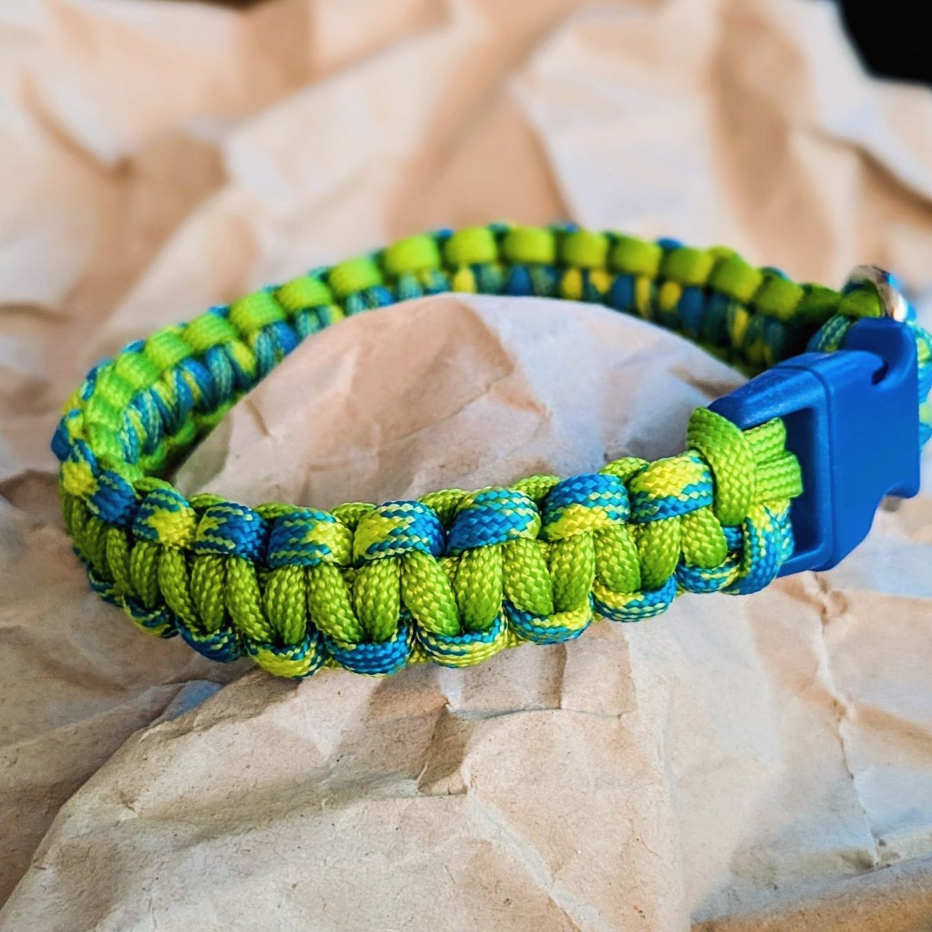 Guinzagli & Collari: dog collar, handmade – Nuovo e nell'imballaggio originale da Origlio venduto da ott_x7z8 1