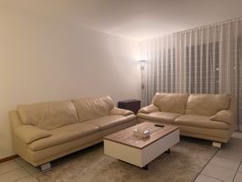 Divani in pelle