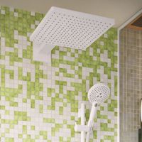 Hansgrohe Wandbrause Raindance E300