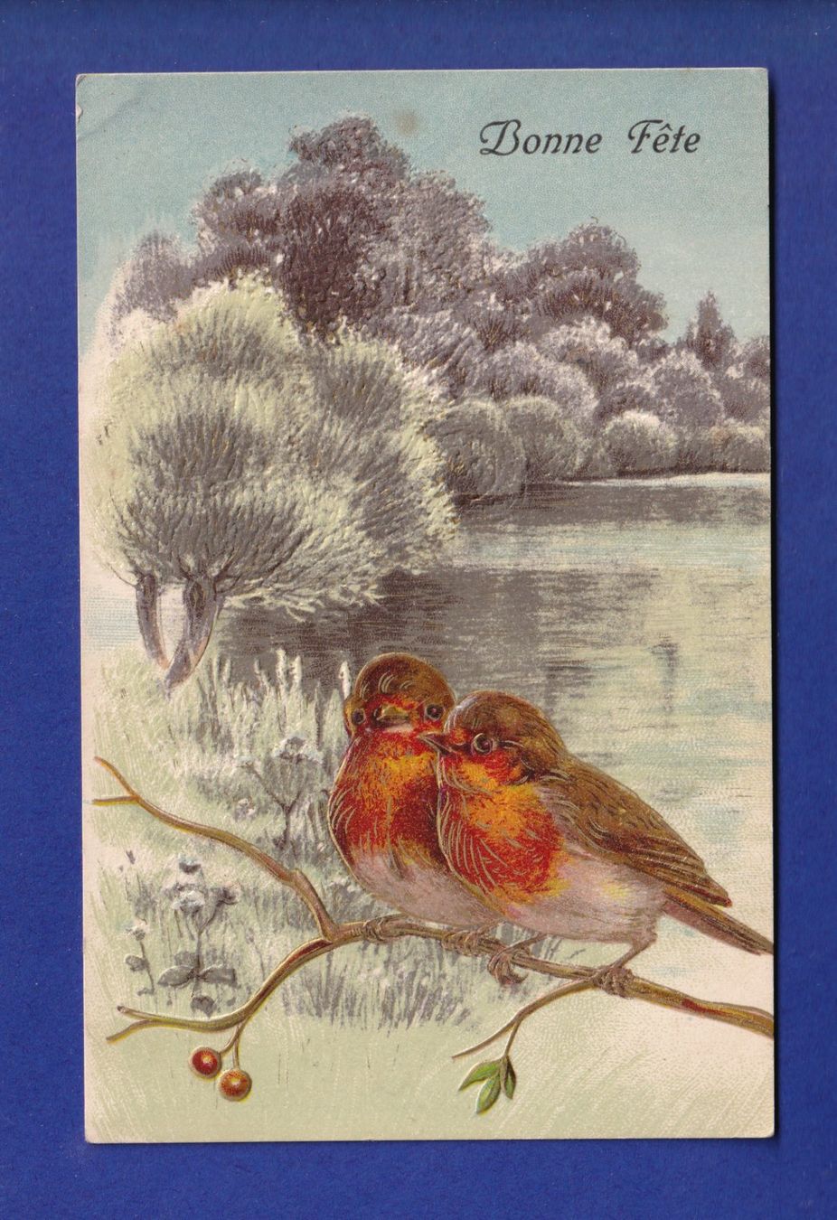 Cartoline postali: OISEAU - Rouges-Gorges - Carte gauffrée – Usato da Pully venduto da nicecards-shop