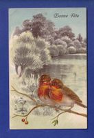 OISEAU - Rouges-Gorges - Carte gauffrée