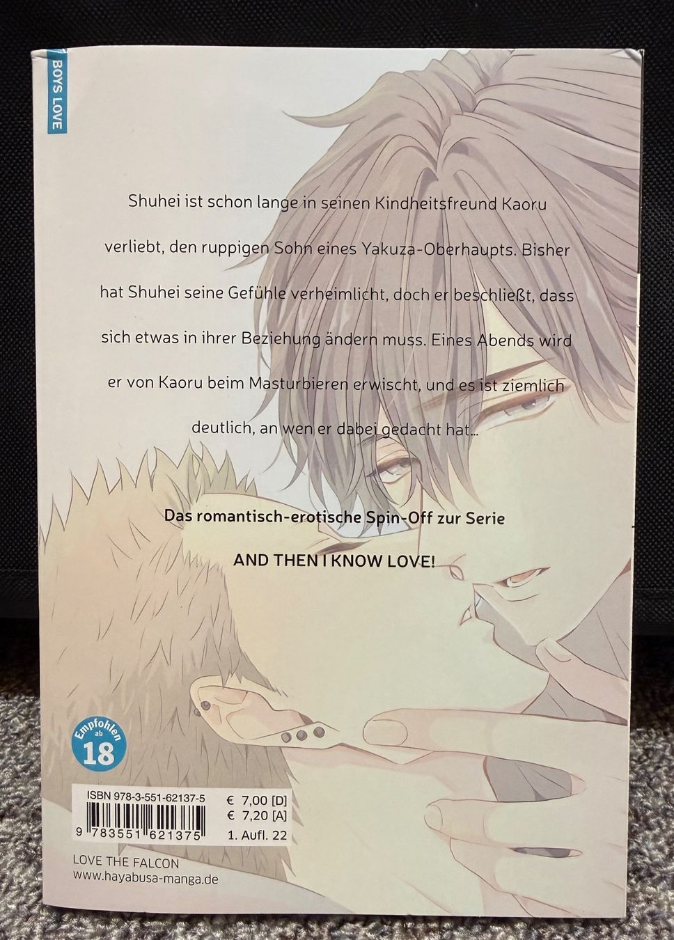 Fumetti: BL Manga: And until I touch you – Nuovo (secondo la descrizione) da Triesen venduto da cla_q2js 1