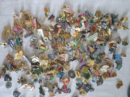 Pin Sammlung