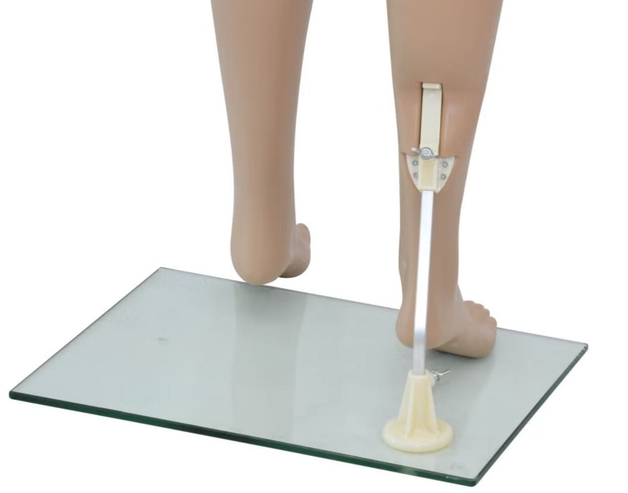 Altro in Decorazioni & Accessori: Schaufensterpuppe Dame 175 cm – Usato da Langenbruck venduto da Gumsi 4