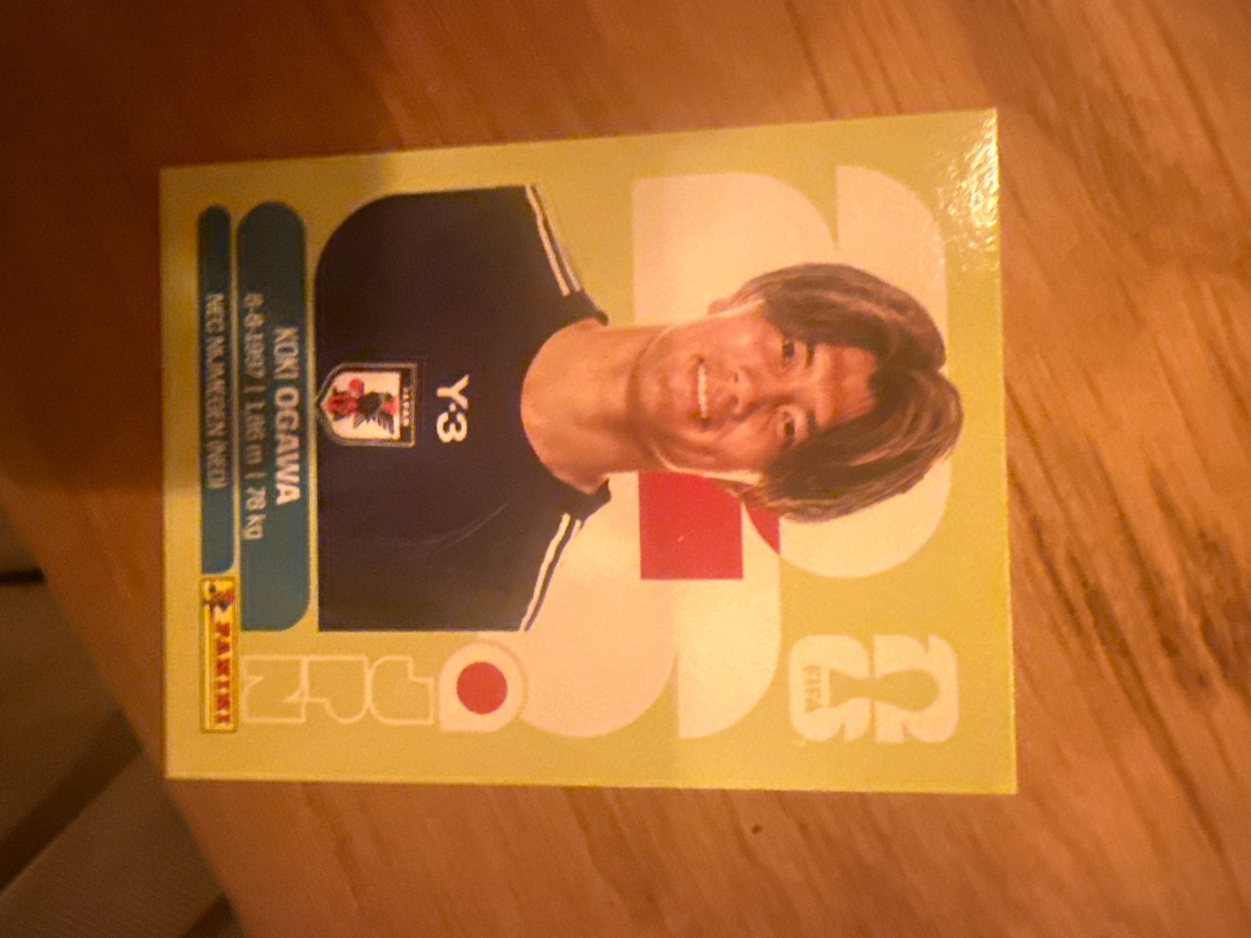 Panini Carte collezionabili: Panini – Usato da Langnau i. E. venduto da Acrjl