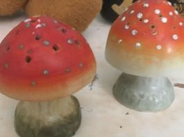 🍄ALTE FLIEGENPILZ 🍄SALZ-PFEFFERSTREUER 🍄