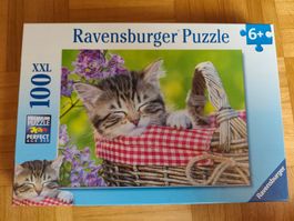 Ravensburger Puzzle - Katze - 100 XXL Teile, 6+