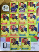 Panini Sticker South Africa Set