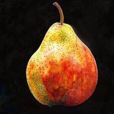 Profile image of knoriander