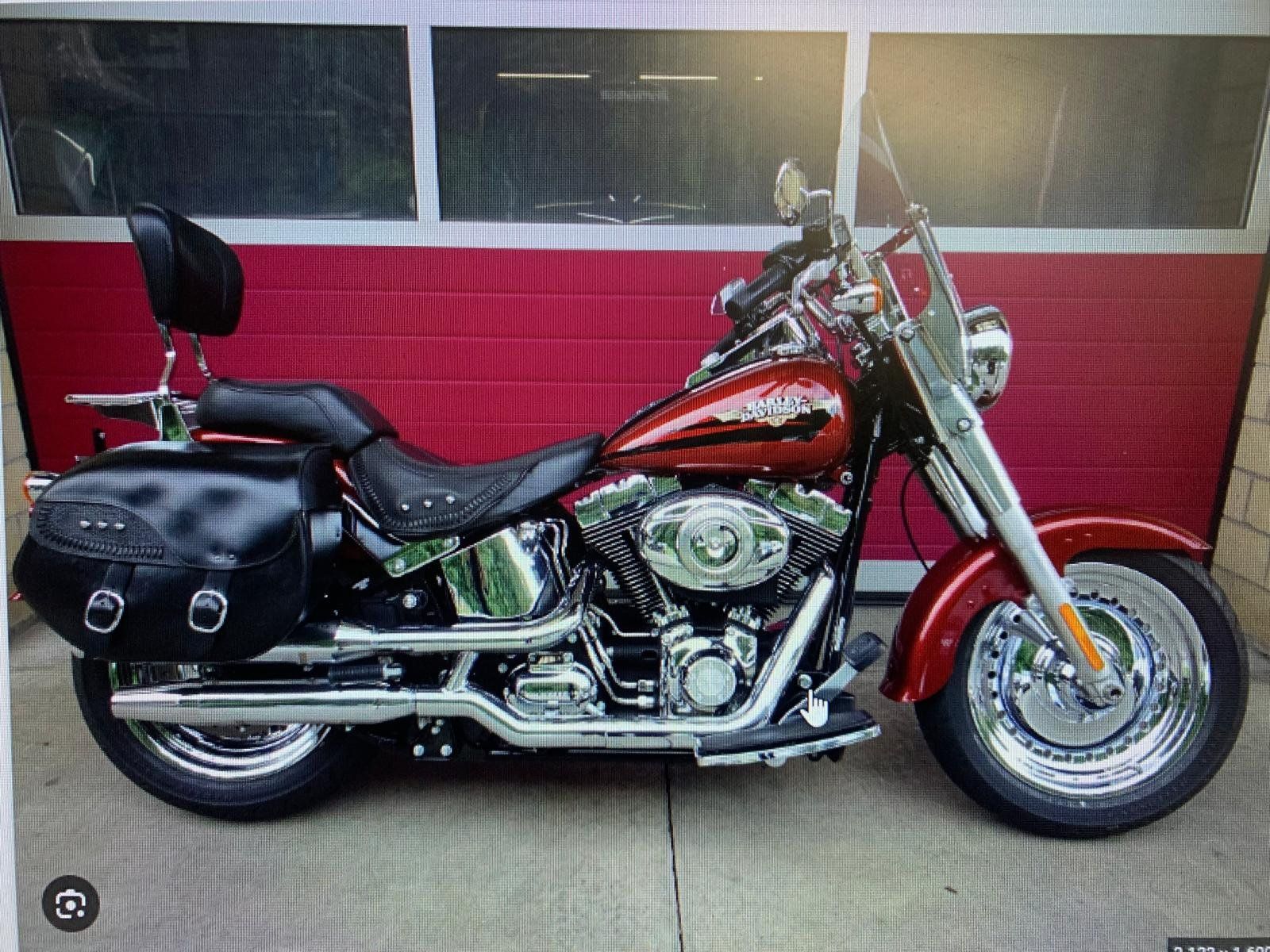 Chopper: Harley Davidson FLSTF 1584cc – Usato da Monteggio venduto da zx7r