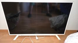 TV Grundig 40GUW 8868