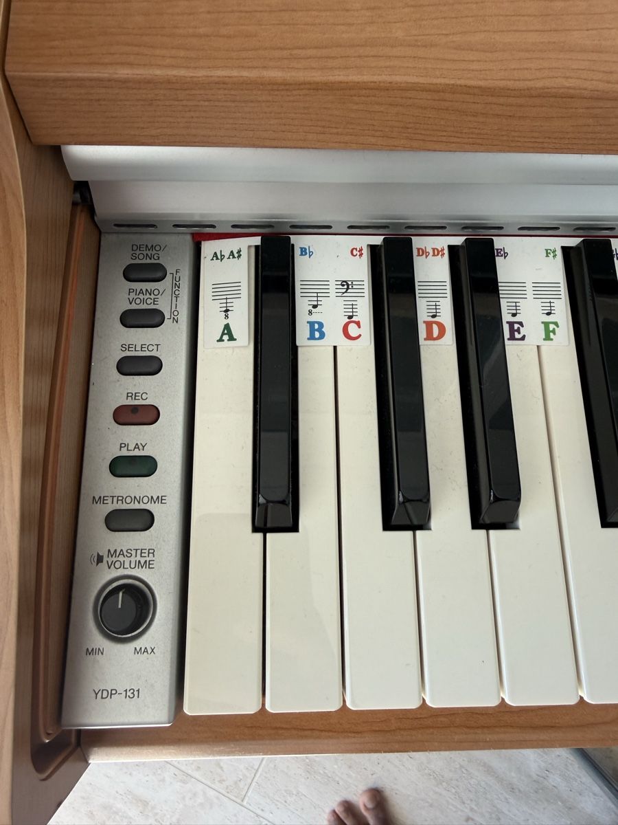 Yamaha Strumenti musicali: Yamaha E-Piano inkl. passendem Klavierstuhl – Usato da Winterthur venduto da Benjiro11 3