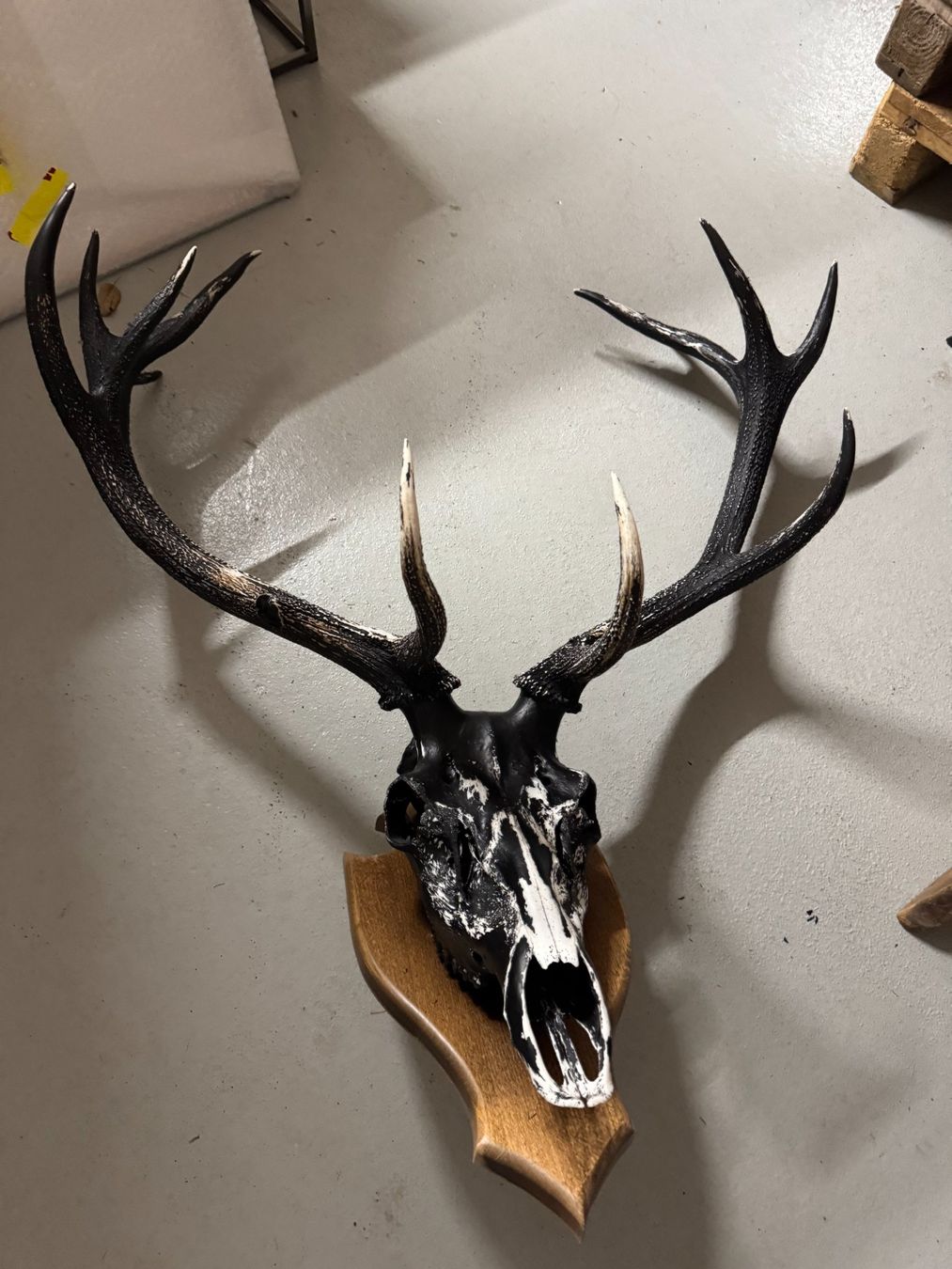 Statuette: Euro Wall Hanger for Deer Head – Usato da Gsteig b. Gstaad venduto da Auctionly